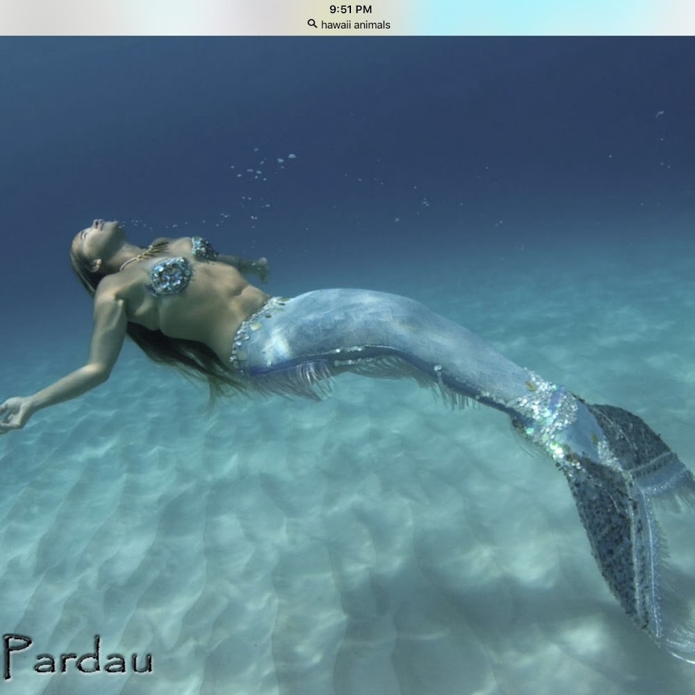 Meet your Posher, Tania